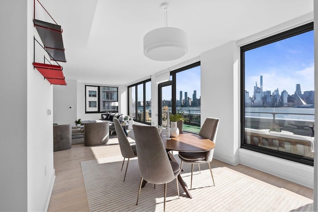 dining room with a view of city, light wood-type flooring, baseboards, and floor to ceiling windows