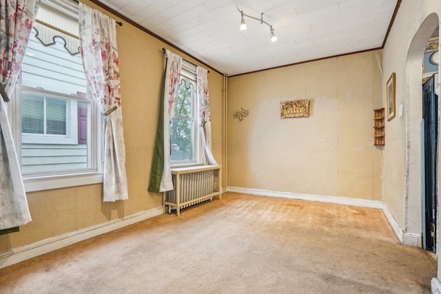 442 Avenue E Ave E, Bayonne, NJ 07002 - carpeted spare room featuring arched walkways, rail lighting, baseboards, and radiator