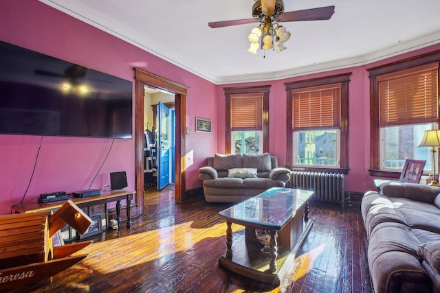 living room with ornamental molding, radiator heating unit, ceiling fan, and dark hardwood / wood-style flooring