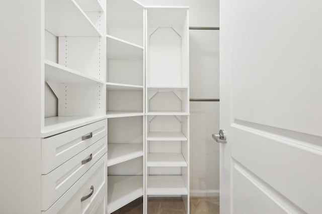 view of spacious closet