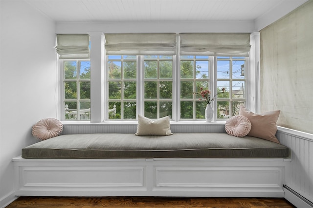 interior space featuring plenty of natural light and baseboard heating