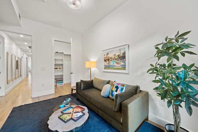 living room featuring wood-type flooring