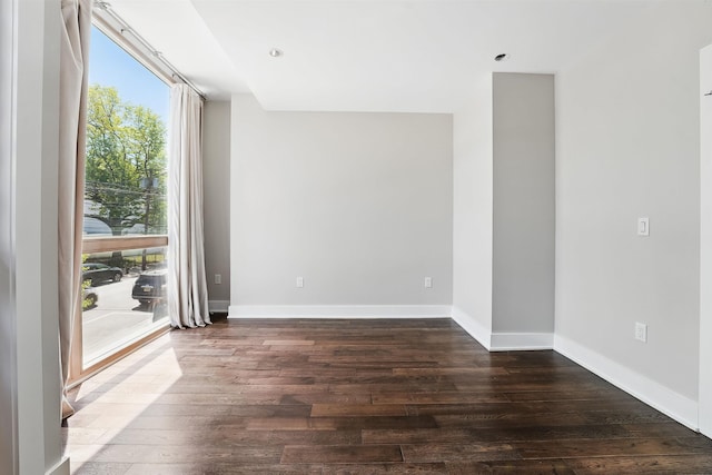 empty room with baseboards, a wealth of natural light, and dark wood-type flooring