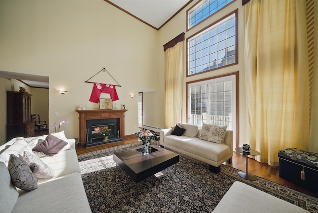 living room featuring a fireplace with raised hearth, ornamental molding, a high ceiling, and wood finished floors