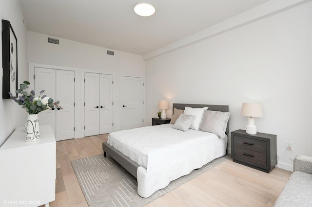 425 3rd St Unit 404, Jersey City, NJ 07302 - bedroom with two closets and light wood-style floors