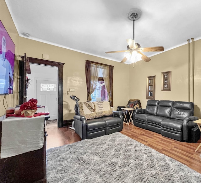 living room featuring ceiling fan and dark hardwood / wood-style flooring