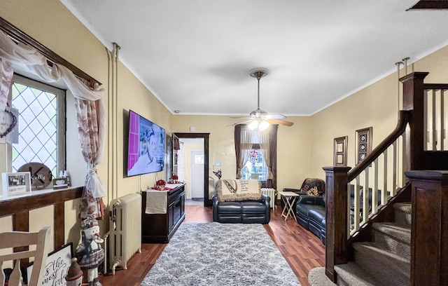 interior space featuring radiator heating unit, ornamental molding, dark hardwood / wood-style floors, and ceiling fan