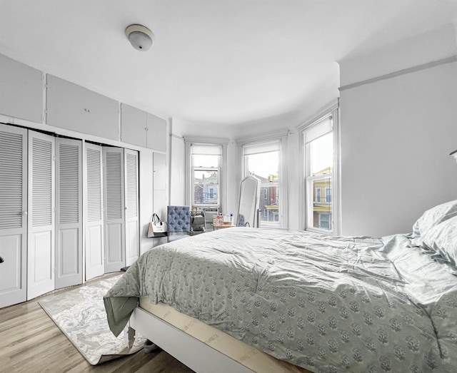 bedroom with wood-type flooring