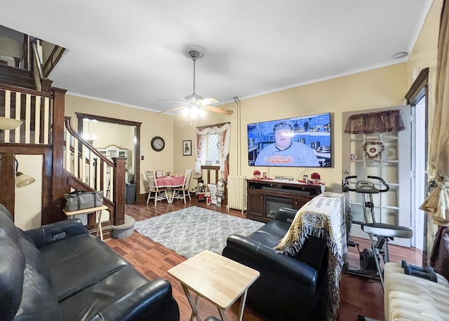 living room featuring dark wood-type flooring, radiator, and ceiling fan