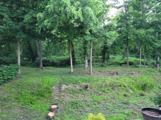 243 Paramus Rd, Paramus, NJ 07652 - photo 20