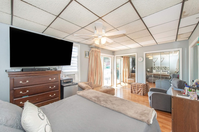 bedroom featuring a drop ceiling, light wood-style flooring, two closets, and a ceiling fan