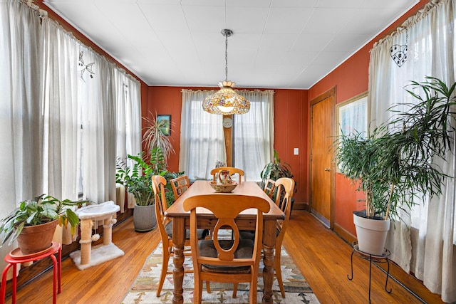 dining area with a wealth of natural light and light hardwood / wood-style flooring