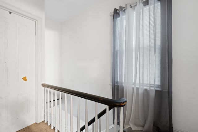 staircase featuring carpet flooring