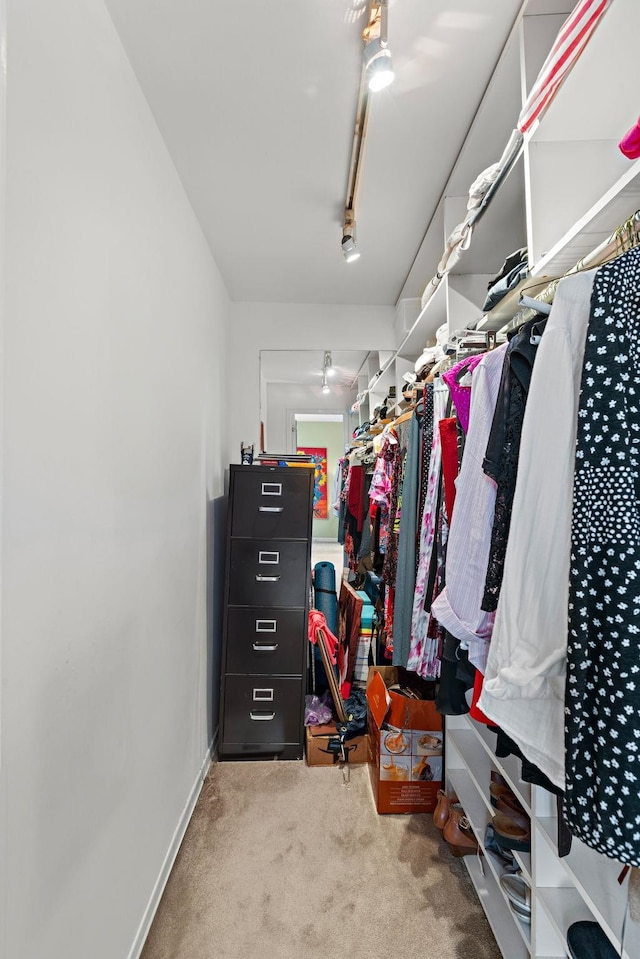 spacious closet featuring carpet floors