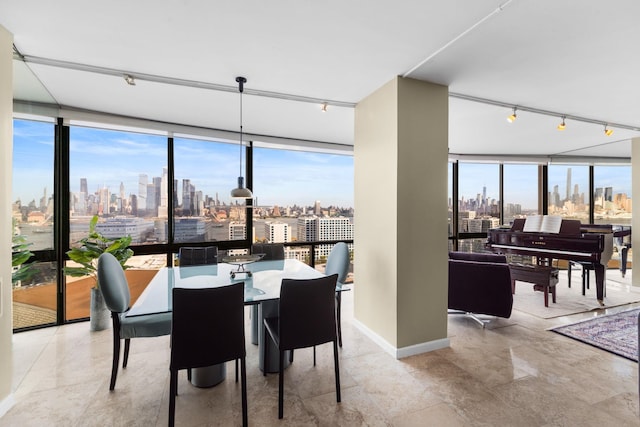 dining room featuring floor to ceiling windows and rail lighting