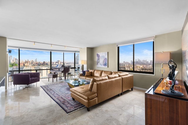 living room with a wealth of natural light