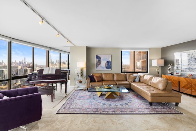 living room with rail lighting and expansive windows