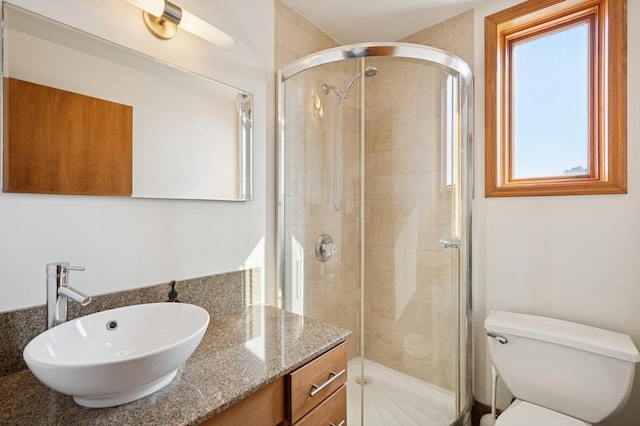 bathroom with vanity, a stall shower, and toilet