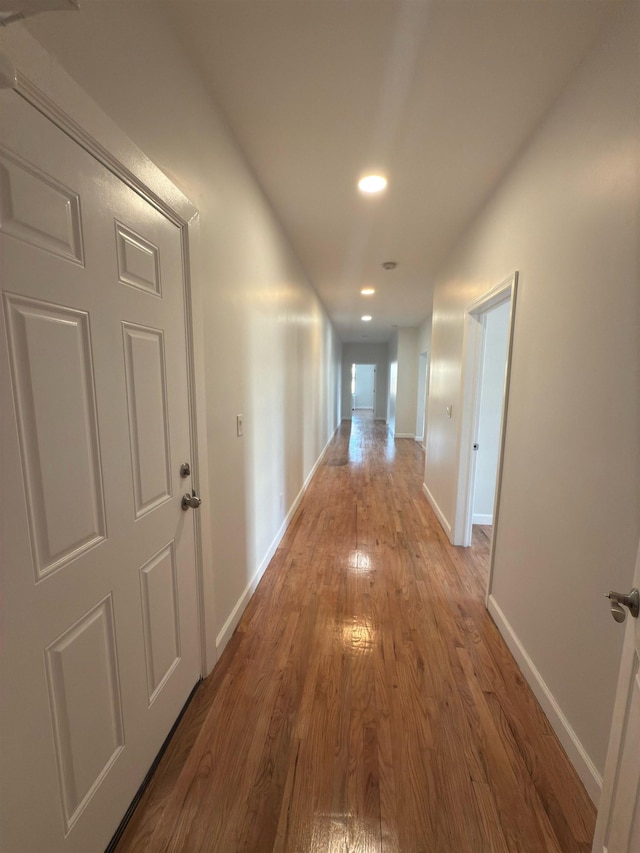 hallway featuring wood-type flooring