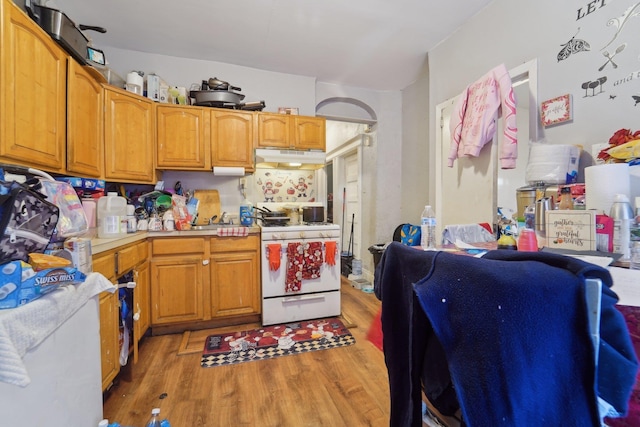 kitchen with white gas range oven and hardwood / wood-style flooring