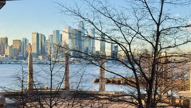 water view with a city view