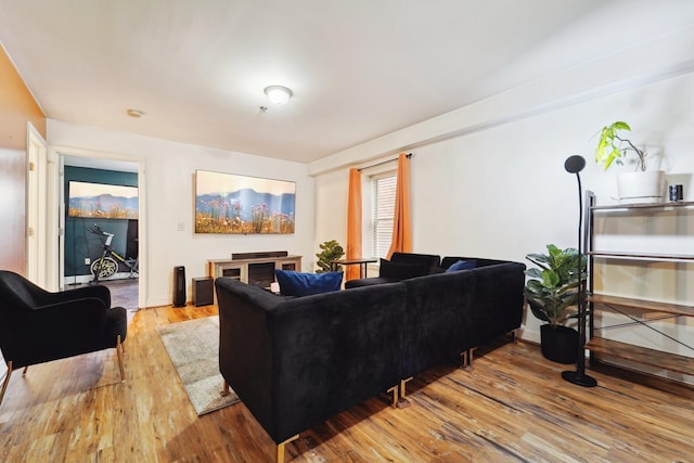 living area with wood finished floors