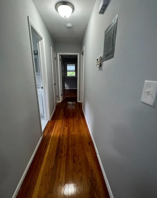 corridor featuring electric panel and dark hardwood / wood-style flooring