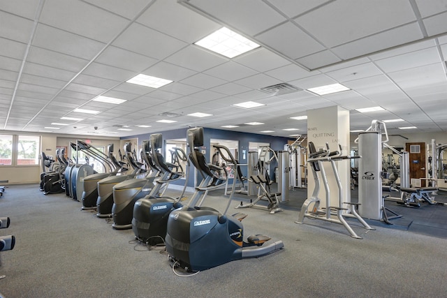 workout area featuring a paneled ceiling and carpet