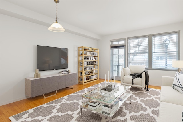 living room featuring wood finished floors
