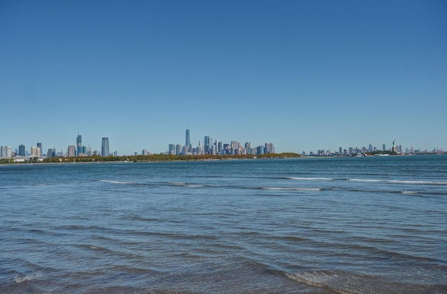 water view featuring a skyline view