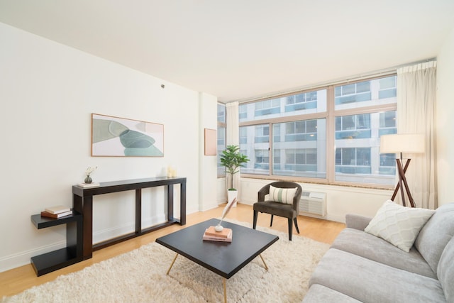 living area with a wall mounted AC, baseboards, and wood finished floors