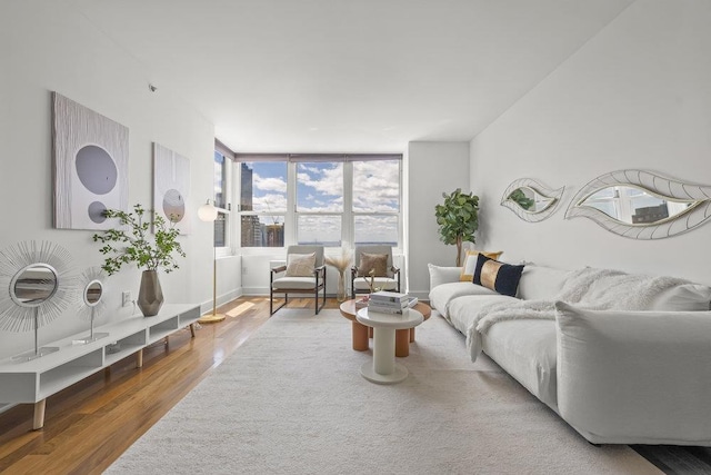 88 Morgan St Unit 4306, Jersey City, NJ 07302 - living room with wood finished floors and baseboards