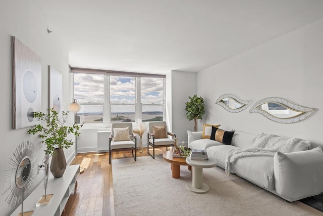 88 Morgan St Unit 4306, Jersey City, NJ 07302 - living area featuring hardwood / wood-style floors and baseboards