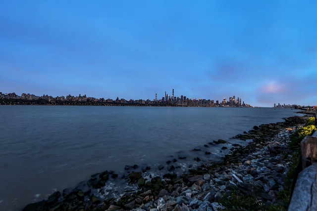 water view with a city view