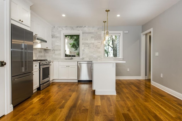 kitchen featuring a wealth of natural light, premium appliances, under cabinet range hood, and a sink