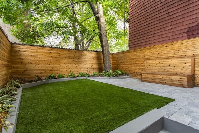 view of yard with a patio and a fenced backyard