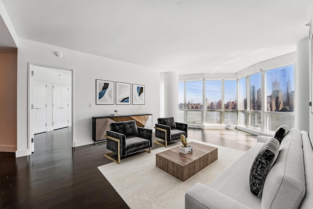 living room with wood finished floors, a view of city, and baseboards