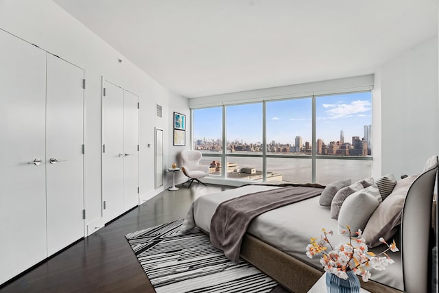bedroom featuring two closets, a view of city, and wood finished floors
