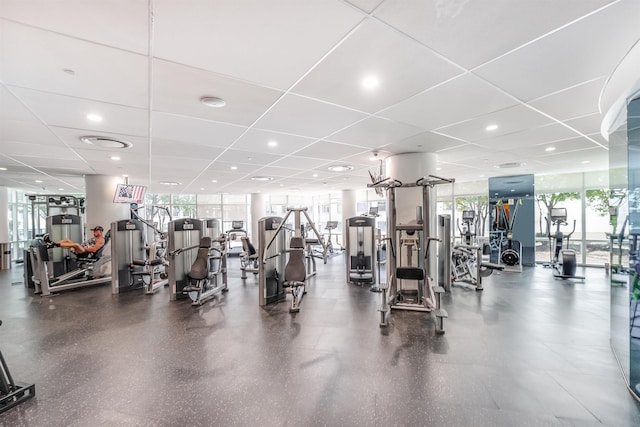 workout area with a healthy amount of sunlight, floor to ceiling windows, and a drop ceiling