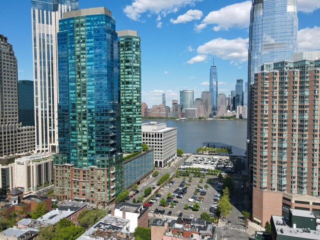 77 Hudson St Unit Ph 4901, Jersey City, NJ 07302 - photo 42