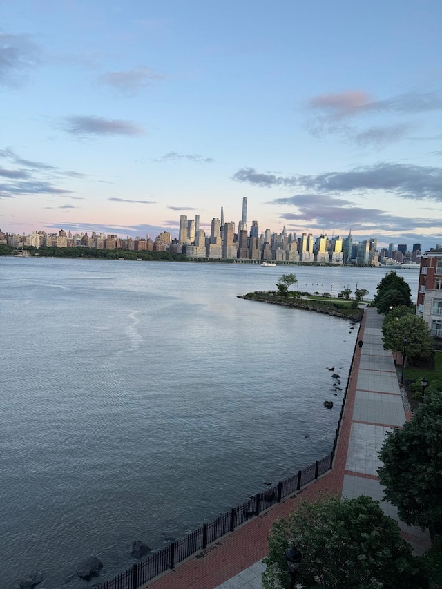 7400 River Rd Unit 114, North Bergen, NJ 07047 - water view featuring city skyline