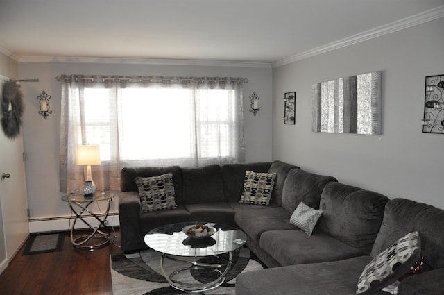 living room with a baseboard radiator, wood-type flooring, and ornamental molding