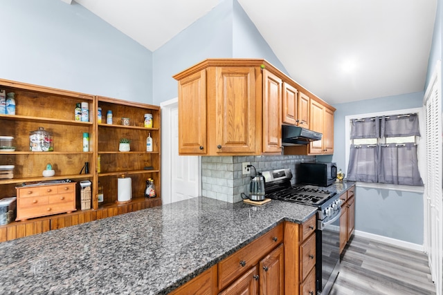 kitchen featuring open shelves, stainless steel appliances, decorative backsplash, under cabinet range hood, and vaulted ceiling