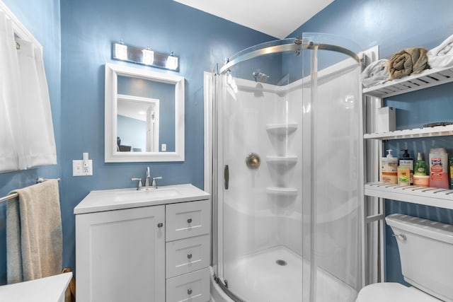 bathroom featuring toilet, a shower stall, and vanity