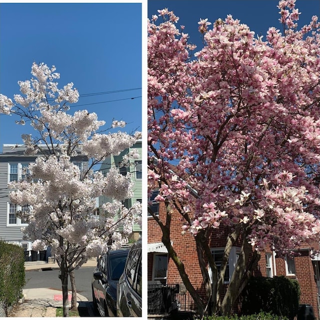 17 Van Houten Ave, Jersey City, NJ 07305 - photo 4