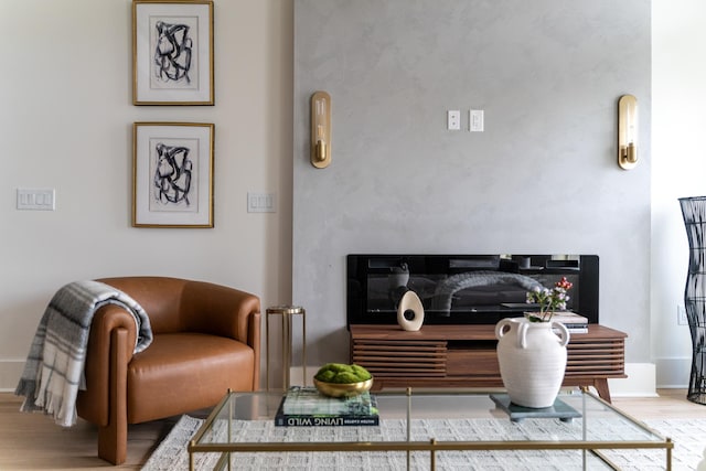 living area featuring a glass covered fireplace and wood finished floors