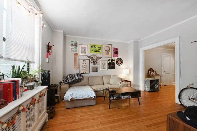 living area featuring light wood-style flooring and crown molding