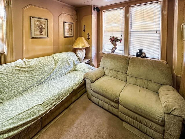 view of carpeted living room