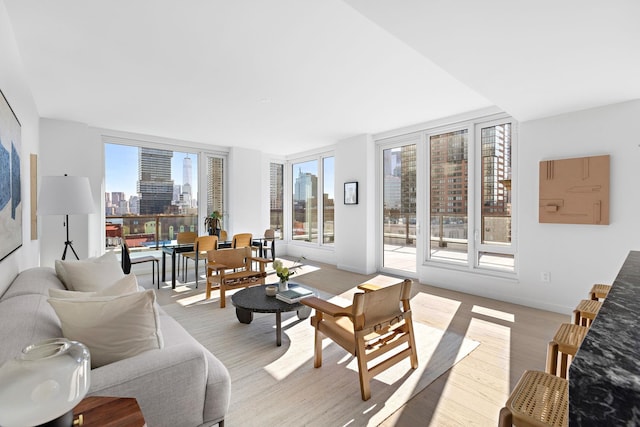 living room featuring light hardwood / wood-style floors