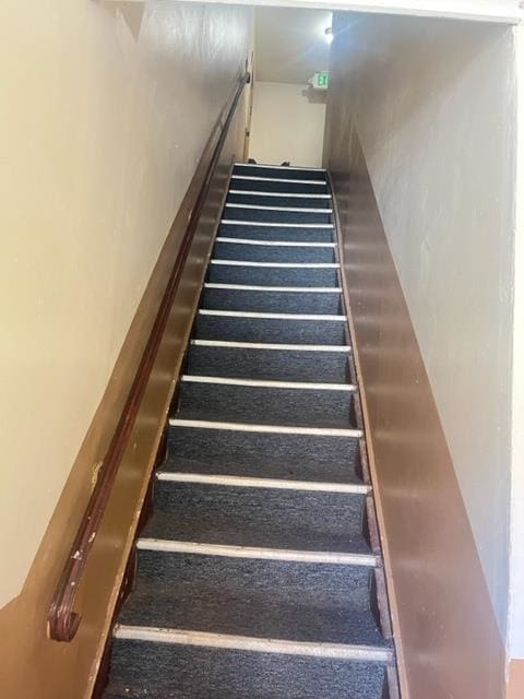 staircase featuring carpet flooring